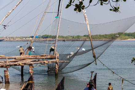 Chinesisches Fischernetz Kochi - Heben des Netzes